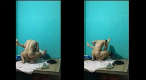 Dập nát bướm tình nhân cũ